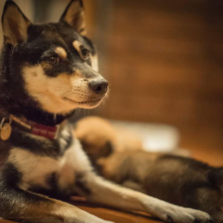 370b9369 f825 4908 82c3 93a5920b3d2a