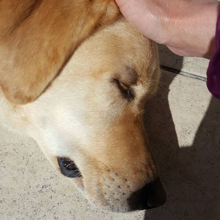 370c1416 b81a 4d07 8952 691fc1a5dcd5