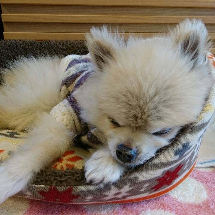 370cee19 5731 4f19 be87 bcd77c051220