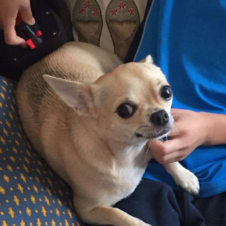 370d6c5a 76f6 4bd5 9451 c355d18a428f