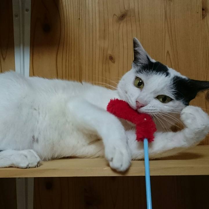 370e0467 bdf3 4482 a989 8b662f25d797