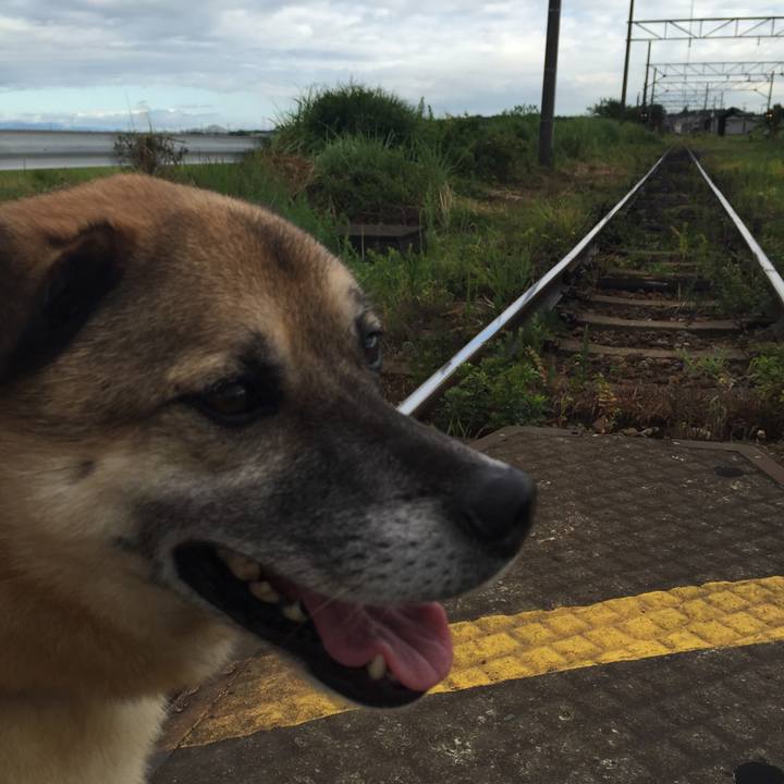 370e0505 4e55 4054 8392 b8d597fa109b