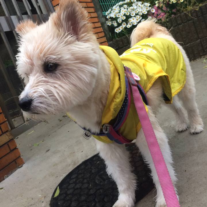 370e529a 9e4b 494b 8c04 126ca6027af3