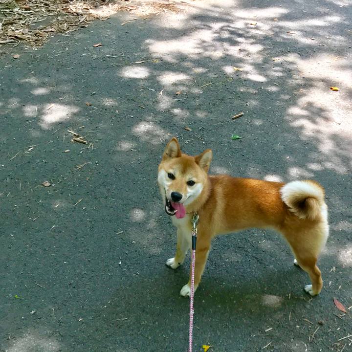 370eb4fc 167f 4444 88a4 b89534a9ca60