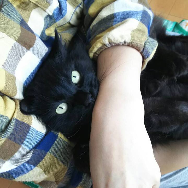 370ebf3c 9226 4fb4 9fec 16e02c4e8551