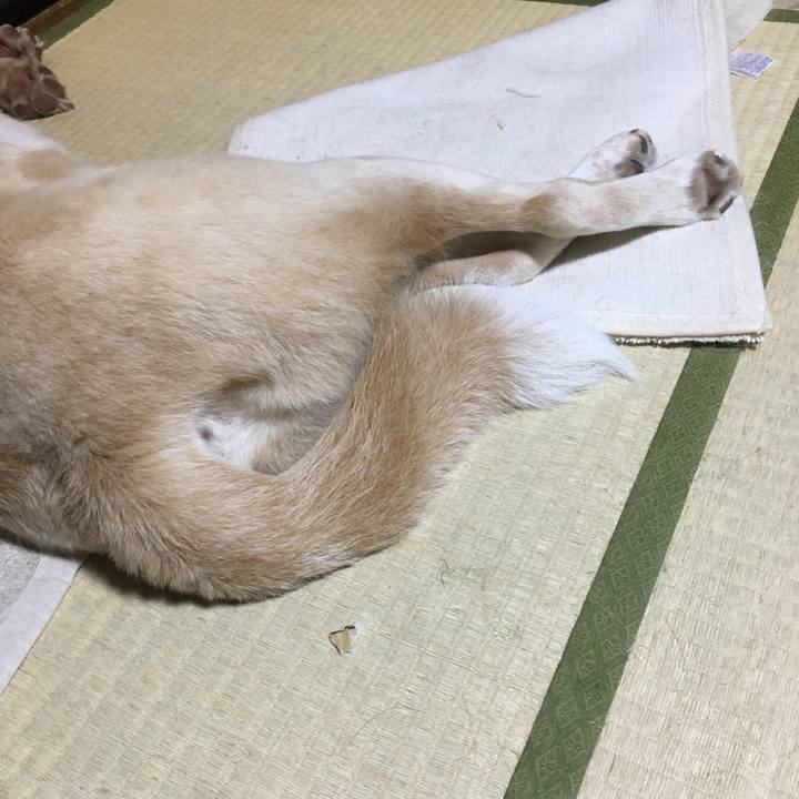 370ee0d5 4cda 455c b8d7 d971aab04c57