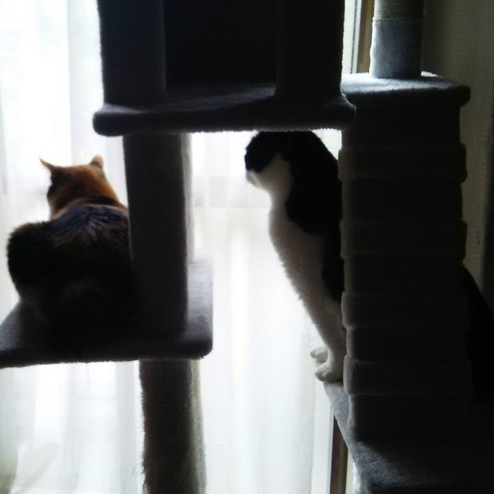 370f1fde 33e4 4b0b b5d7 cf963b886f89