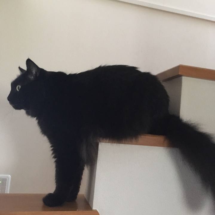 370fe538 7719 4d6b b5e3 67241018cfc8