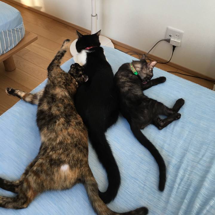 37100571 3204 4c70 8829 813ca394846a