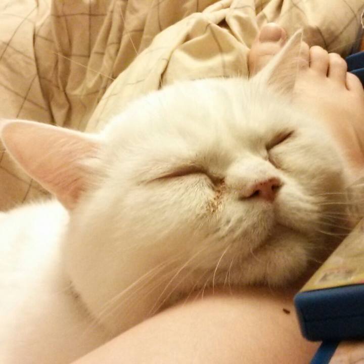 371032f7 fffa 4af6 ad70 251c496fc146