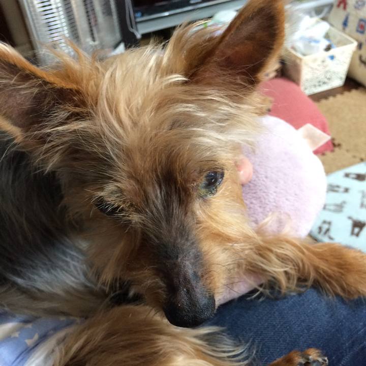 371059c6 0b67 4e0e a49c 4b0cc16fa848