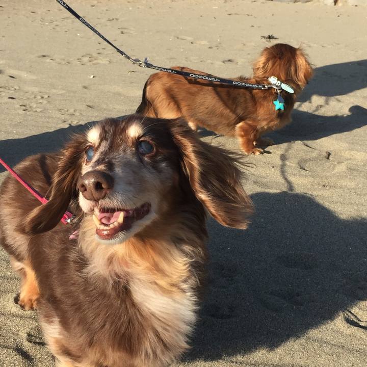 37115290 0389 483c b44e a247d221cb37