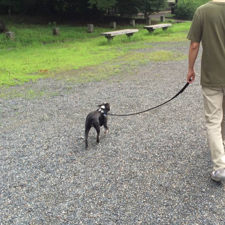 371180b4 12f4 474d aa06 5e4db196b252