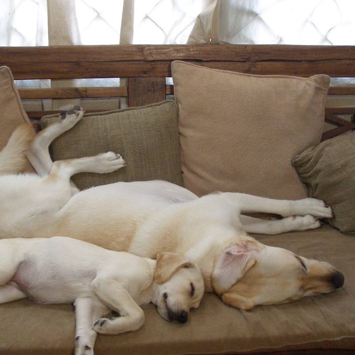 3711c174 c3cd 4171 8540 976d8ae4da86