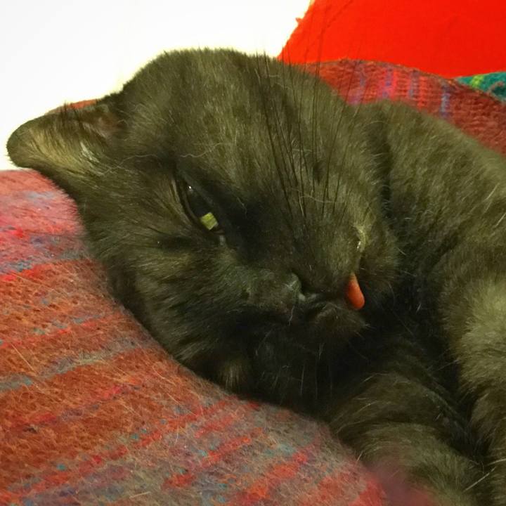 3711d95d 978a 4cde 8aa2 bb166cea6af6