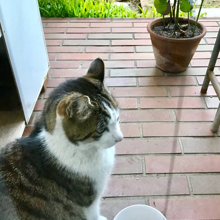 3711f935 3eb6 4fa0 9d22 d08e5979de41