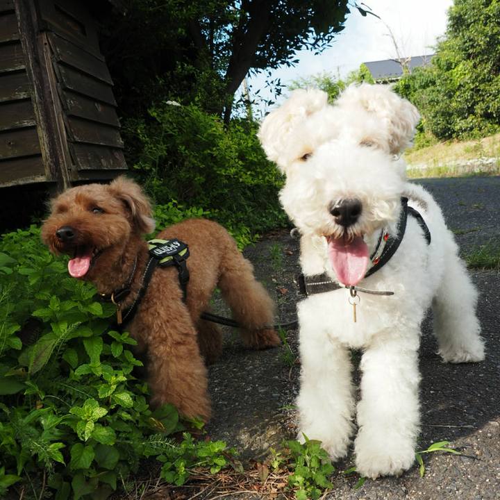 37137363 7a8e 4e7d bc62 c64f493f7e1b