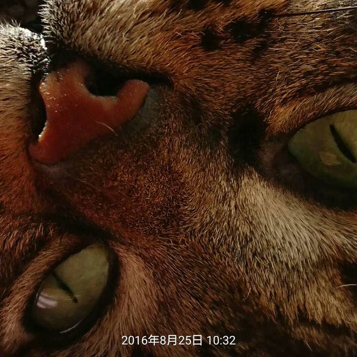 3713bbed f3c5 4e8a a206 686f17dd7525