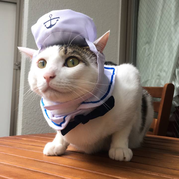 3713c88c 9b4e 4ab6 a5c6 07bec4ff0f02