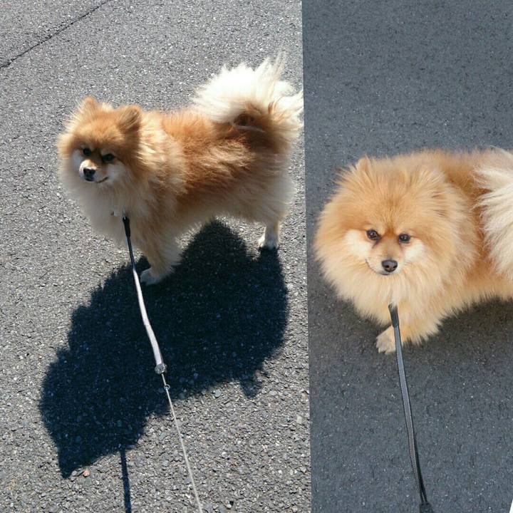 37144be9 0a63 4e65 957c 671c065e8c92