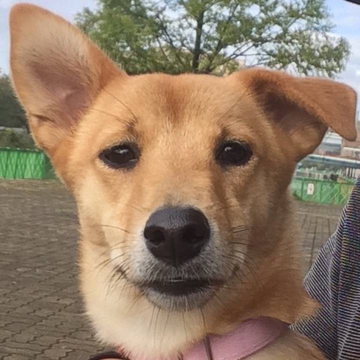 3714555b f3c7 47b4 8b14 ae048a03fd85