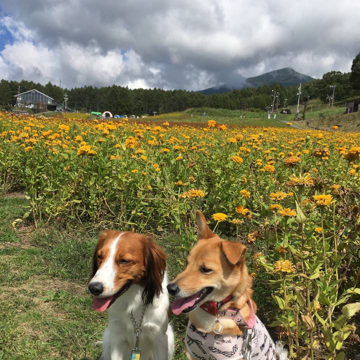 371502c7 8c2d 4712 adf9 51b904595726