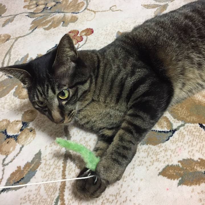 3715e8a4 069d 40bb ac53 5edc8b1e4754