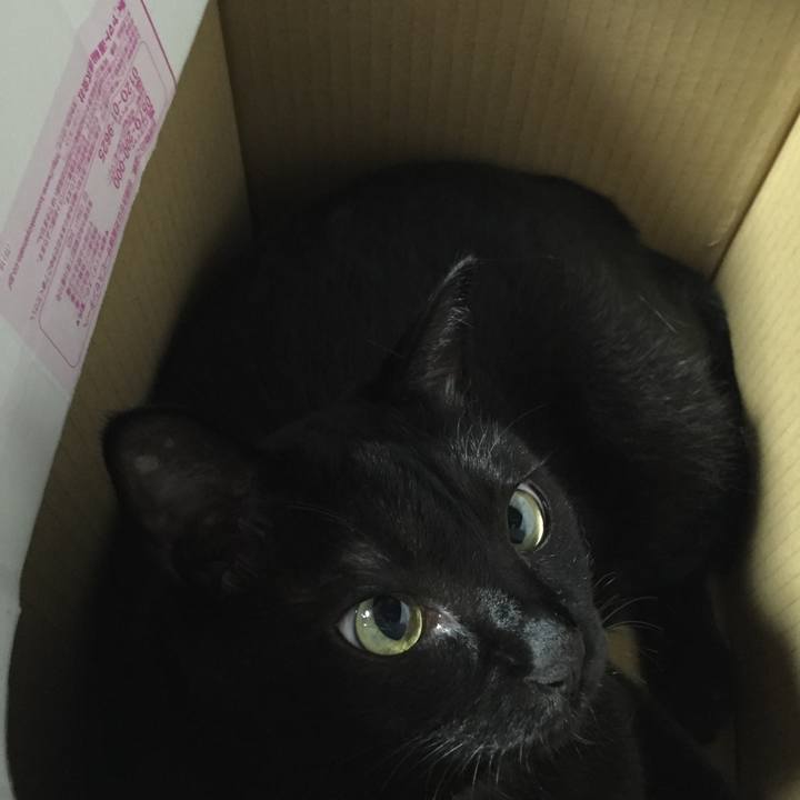 371608e0 ae40 4764 9a7e fb0f35b55f1e