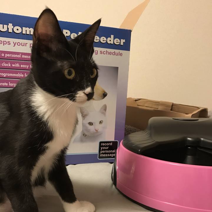 371655ea 4de9 4435 94c4 3ff29a511f55