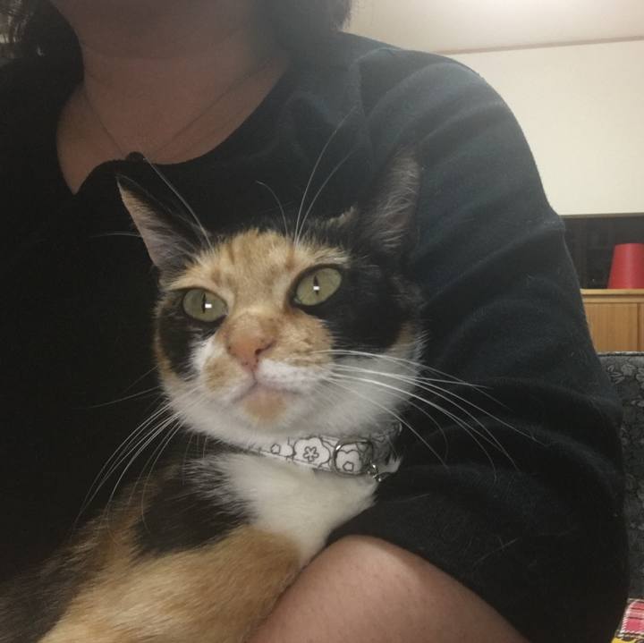 37167e60 2c26 4327 b548 6630ab3865f5