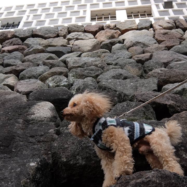 3716979e 890b 4f6d 8f54 3f938e5767d4