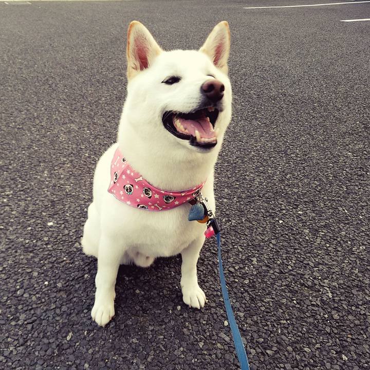 3716b1f6 bc9b 439e b15b 0d54aa87ad3d