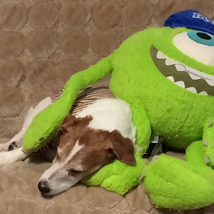 37173a04 5248 4ae4 81e4 c83c0ac7f048