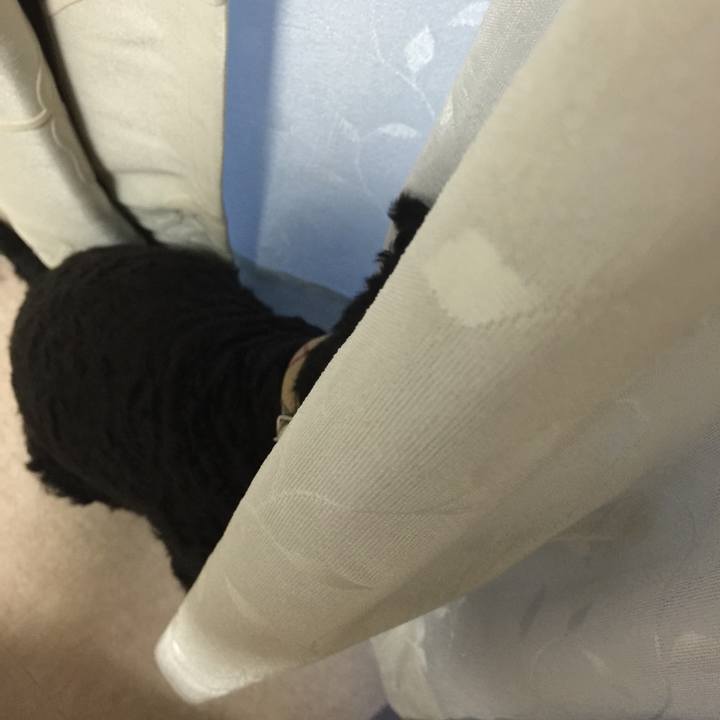 3717d6ca 05ae 404f b0f7 134d6bdc53d7