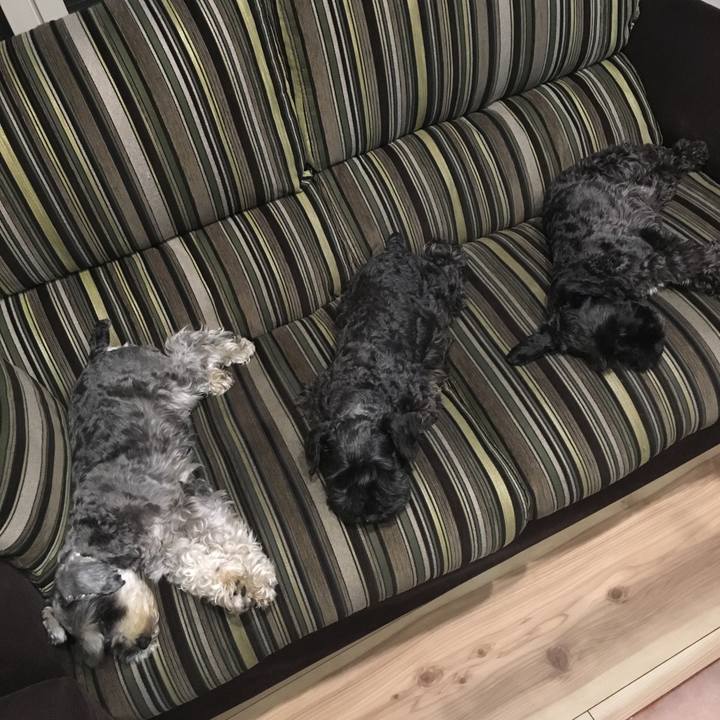 37183ffa 2c1a 42a4 8a93 0d94256983d7