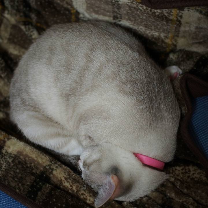 37186b29 5073 4452 9f4b 60d6ec898f7a