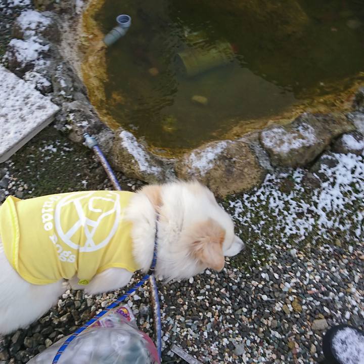 37188d0e 8c53 411b bb21 0d1d4b0c6eb8