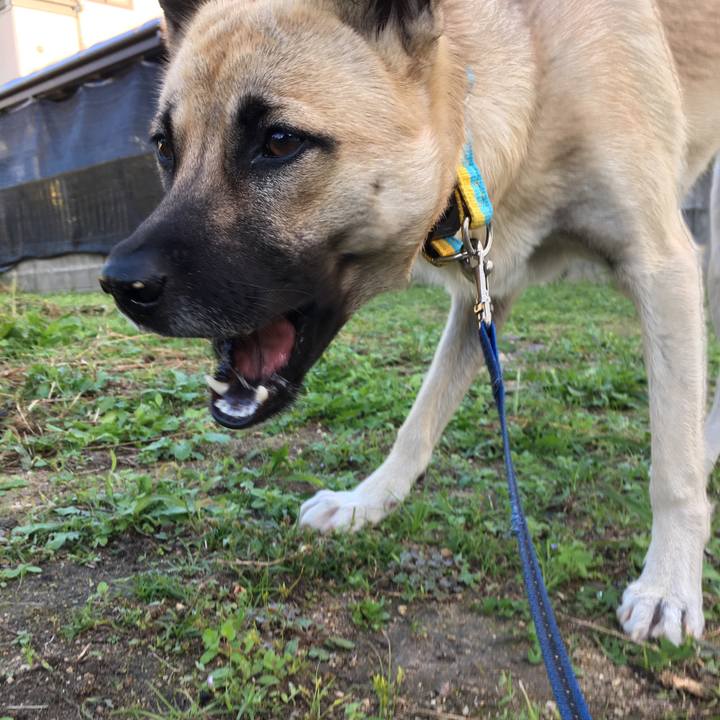 3718ac6b 1b96 45f8 ab7f 89505bba0617