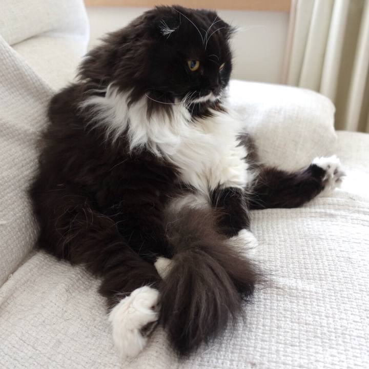 3718d1f3 3c33 439e 92e0 1a0cbf914f3e