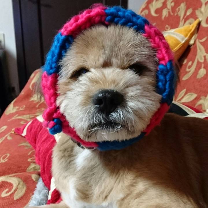 37196922 75d8 4e2c 96c3 aec8a004d0f9