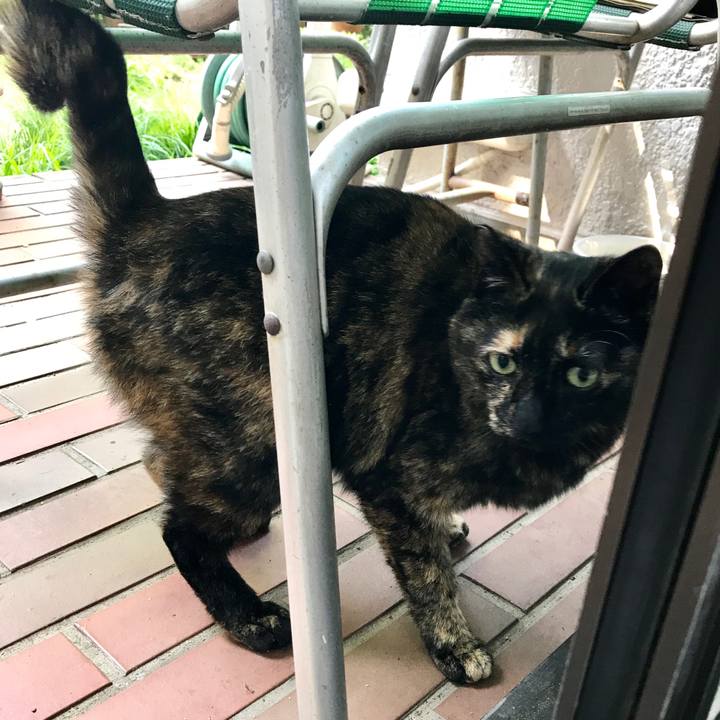 37196f49 12cc 49e4 96f7 e0054d30e301