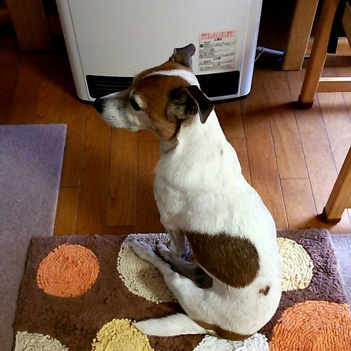 37198c08 79a2 4bc7 8639 8b4ac09a95dd