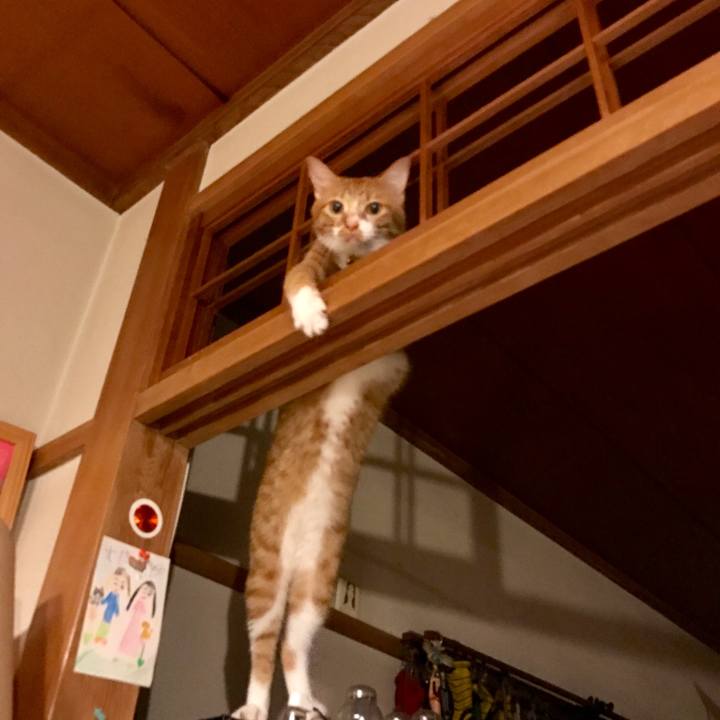 3719936f 291c 4955 921b 6612f6d5775a