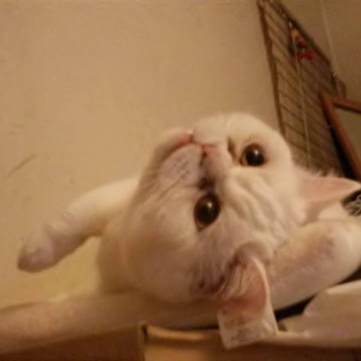 3719ab8a d309 47c4 bd43 b752f06858fb