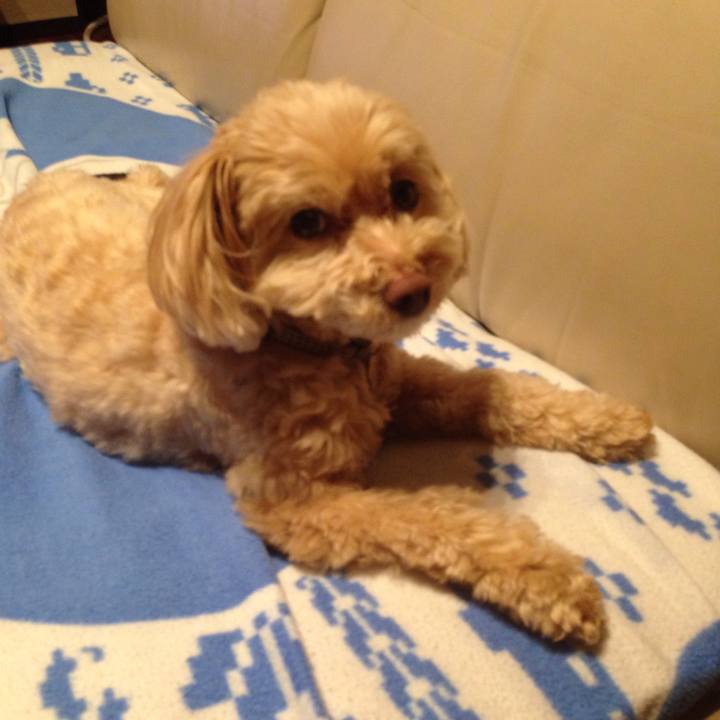 3719c6bd 09d4 4bc4 a204 4966deae85e8