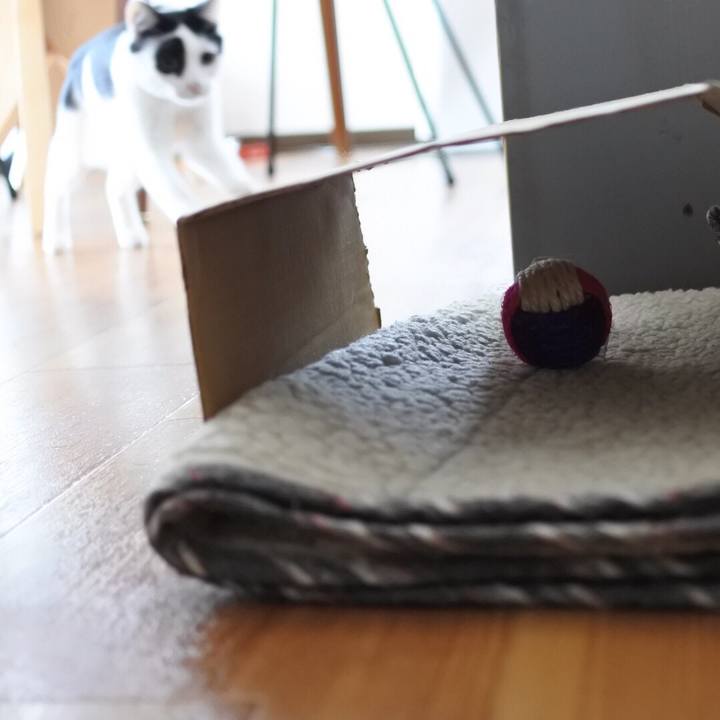 371a5b4f 5957 4326 884e 0a7422d78925