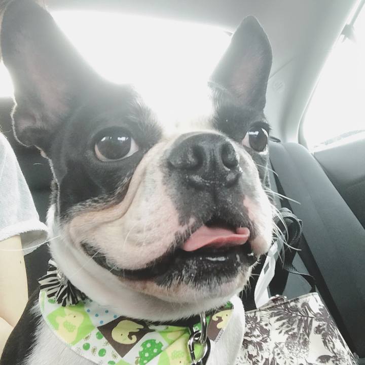 371a7603 0005 4350 8dea e8f0549cf173