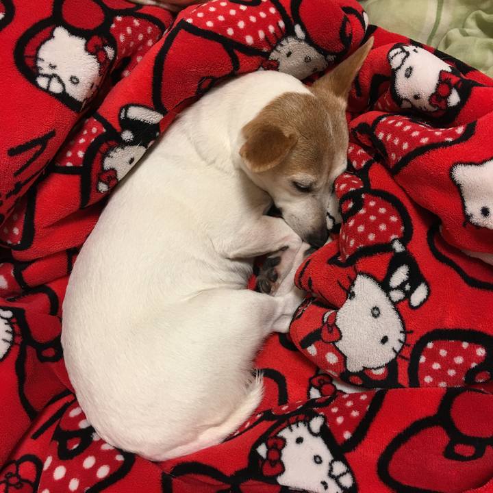 371adfd3 4ec5 4e01 a4fb 2d692ae871b1