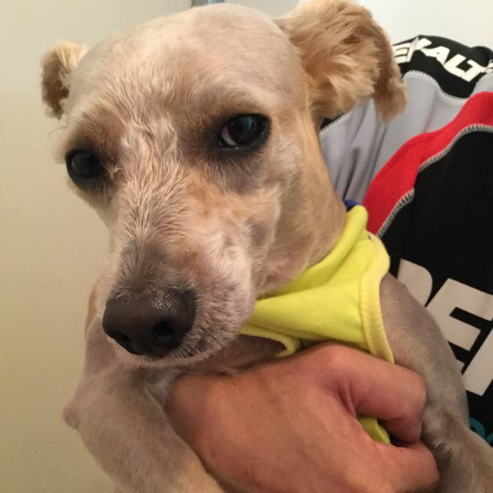 371b3d8c dbe9 43b4 b06b 9de0c991829c