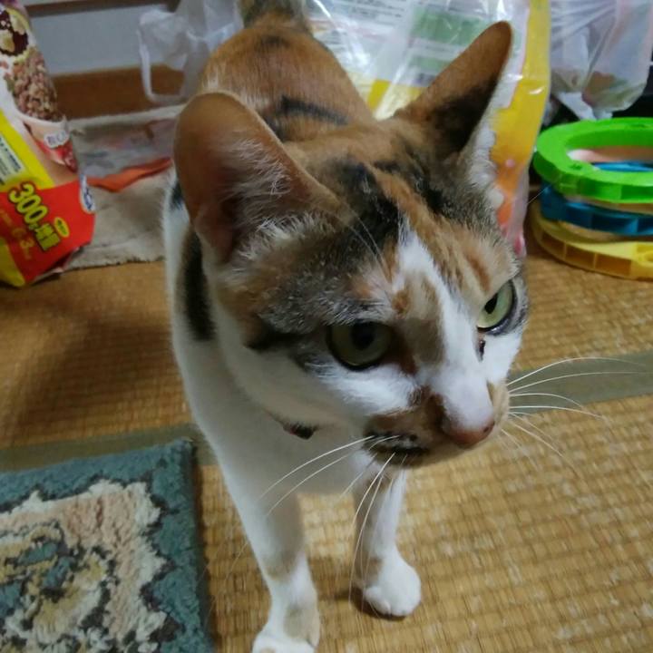 371bf048 6646 41aa a304 35591db4fc2b